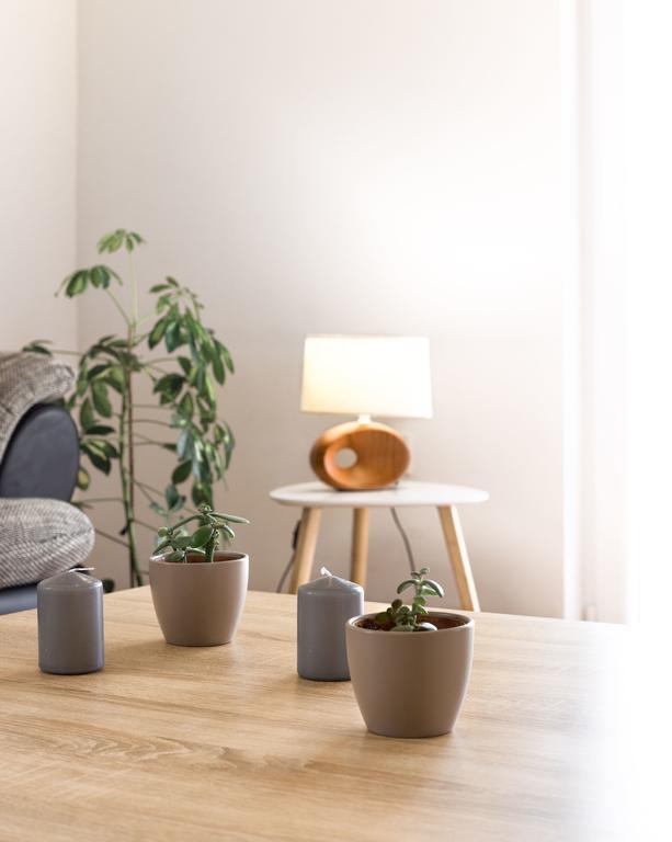 Apartment Arta 沃迪切 外观 照片